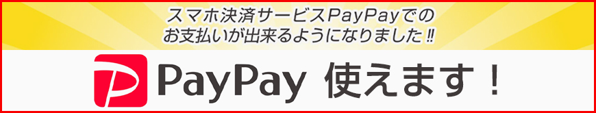 PayPay